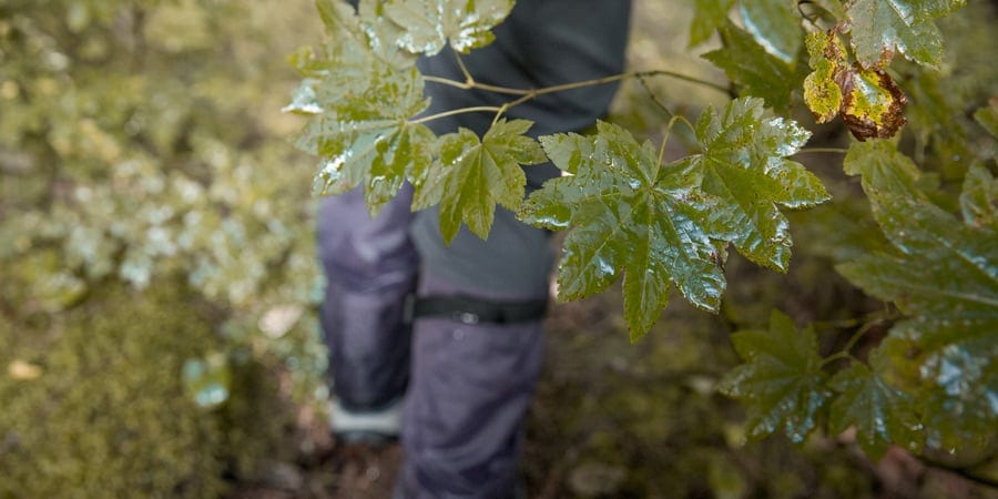 un escursionista con le ghette che cammina lungo un sentiero bagnato in un giorno di pioggia