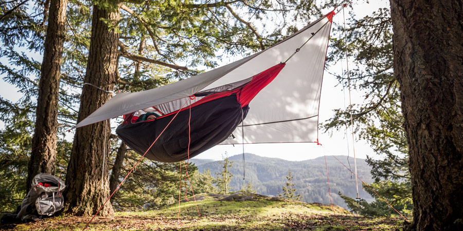 A hammock hanging from two trees in the backcountry.