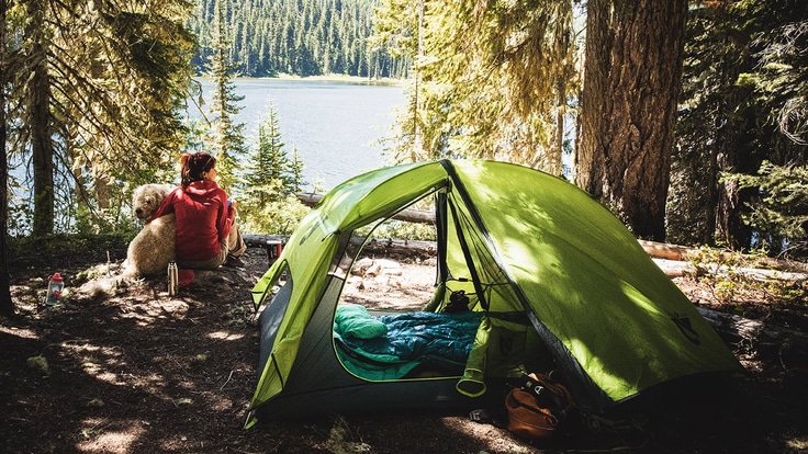 Woman sitting on the ground overlooking a lake while holding her dog. Behind them is a tent.