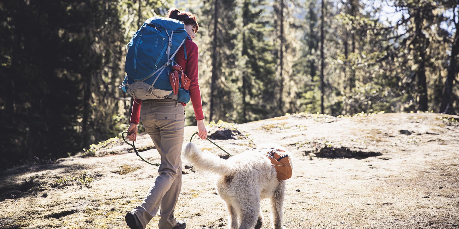 dog backpack leash