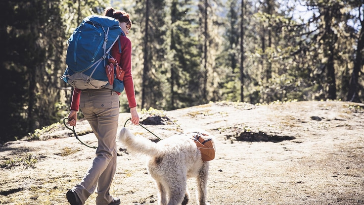 Woman backpacking with dog carrying saddle bags