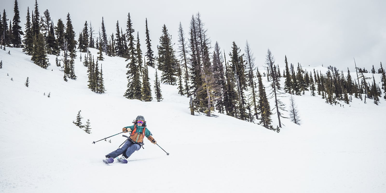 a downhill skier with poles in hand
