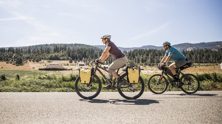 specialized bike repair near me