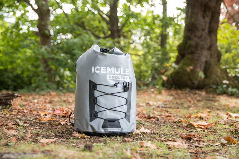Photo of a top-loading cooler in the forest.
