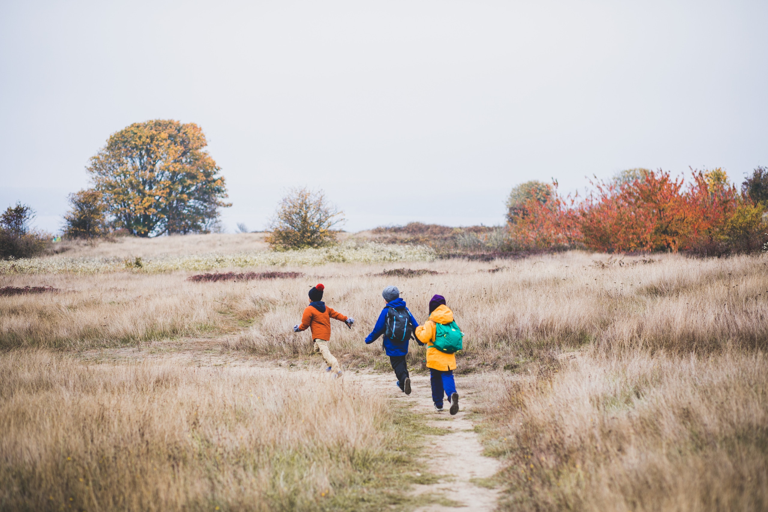 Three kids walk down a hiking trail.
