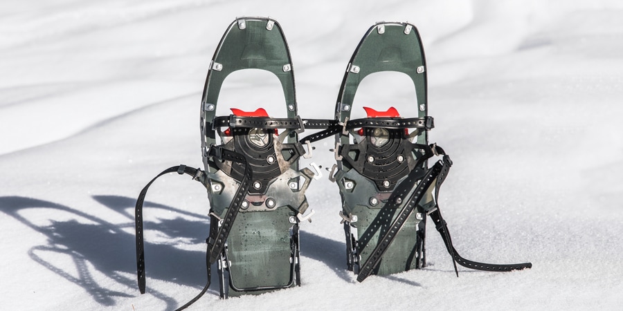 snowshoes for snowboard boots