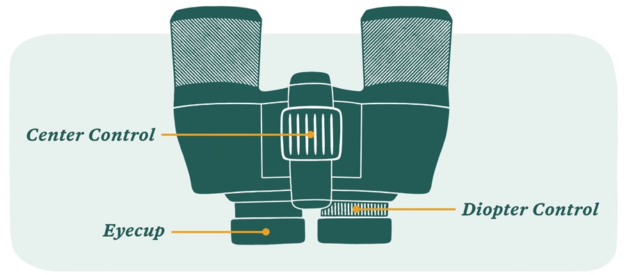 An Illustration of binoculars showing where the eyecup, center control, and diopter control are located