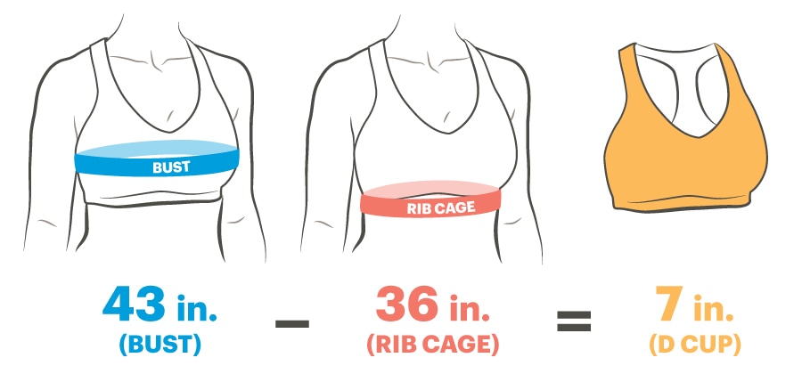 Una equazione illustrata chì mostra cumu determinà a dimensione di a tazza in un bra sport