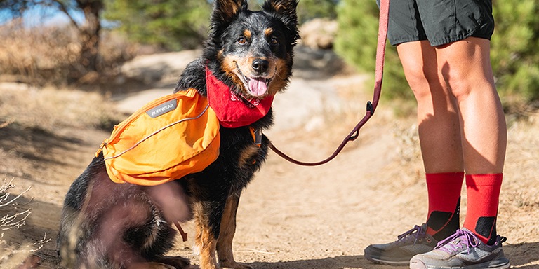 horse duffle bolsa