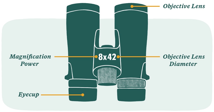 binocular specification