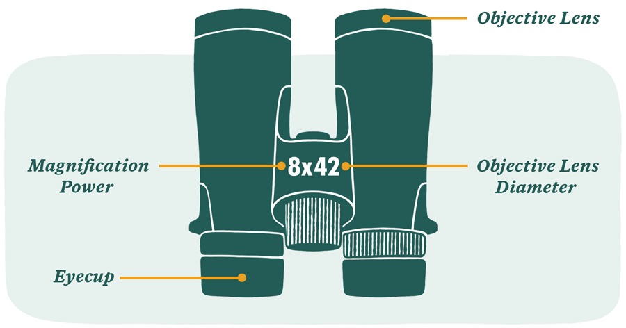 How To Choose The Best Binoculars Which Hirvikota