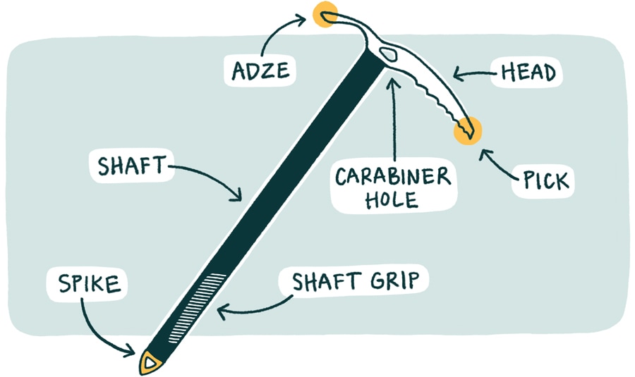 An illustration showing the different parts of an ice axe