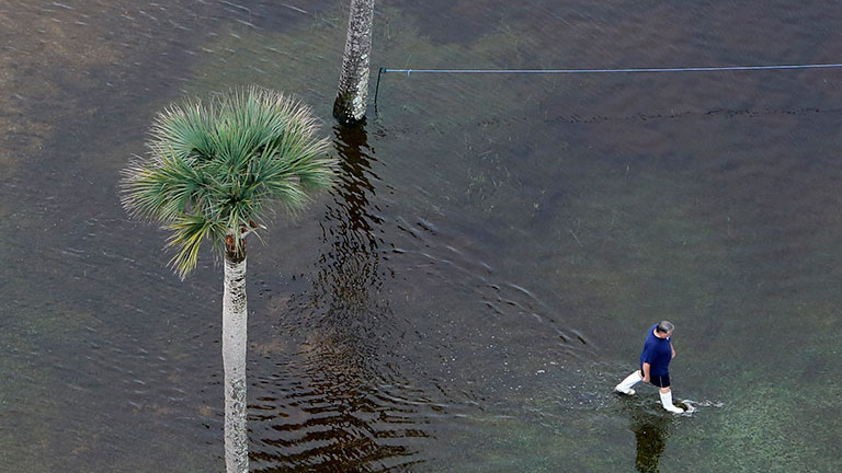 A solitary person treads through a vast swath of ankle-deep water past two tall palm trees, an outcome of local flooding in Charleston, South Carolina.