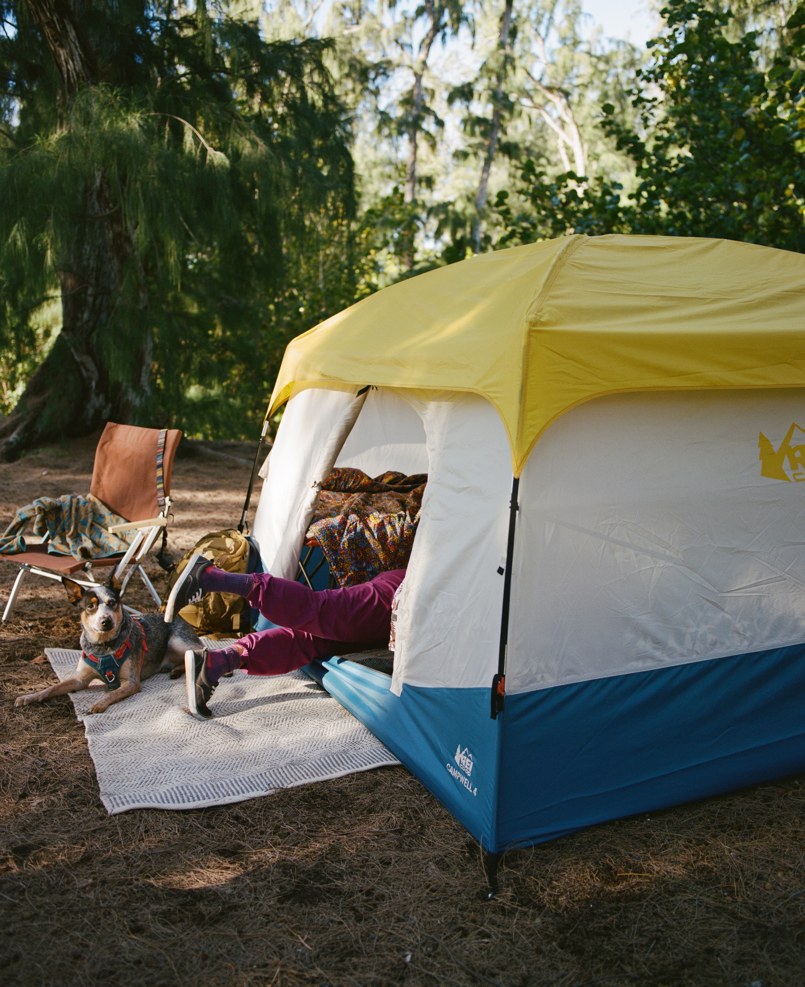 A person lays stomach-down inside a tent with their legs sticking out of the doorway playfully.