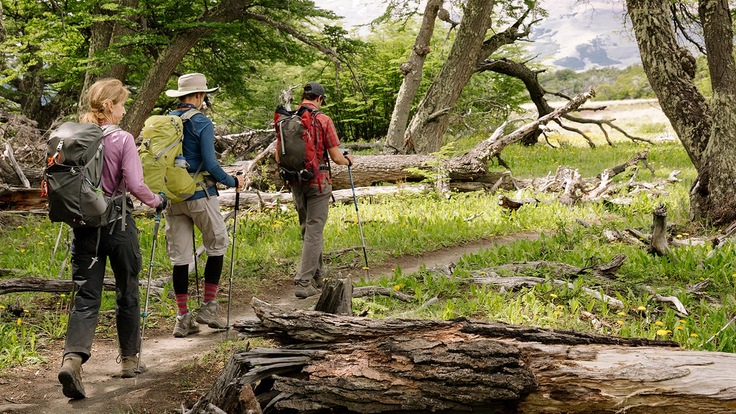 Three people backpacking through a wilderness area