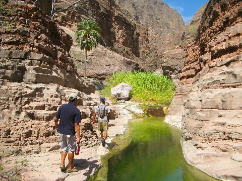 Hiking in Baja 2