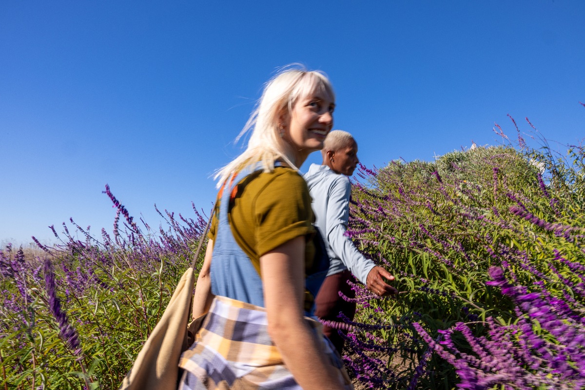 Two people walk through a field of flowers