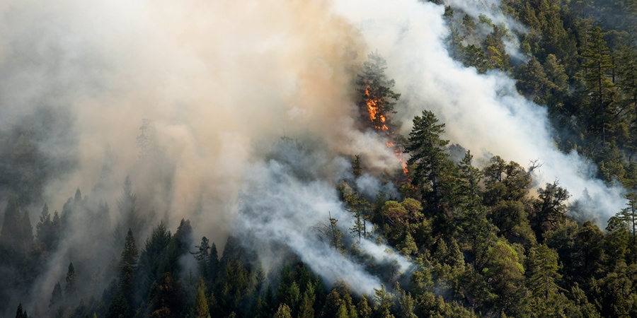 a forest fire seen from above the trees