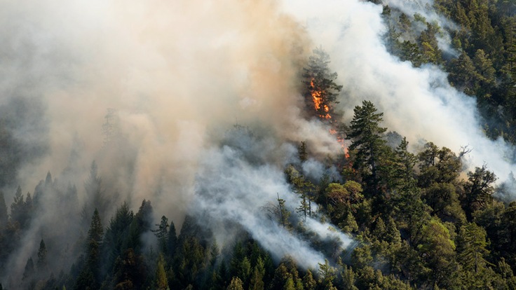 a forest fire seen from above the trees