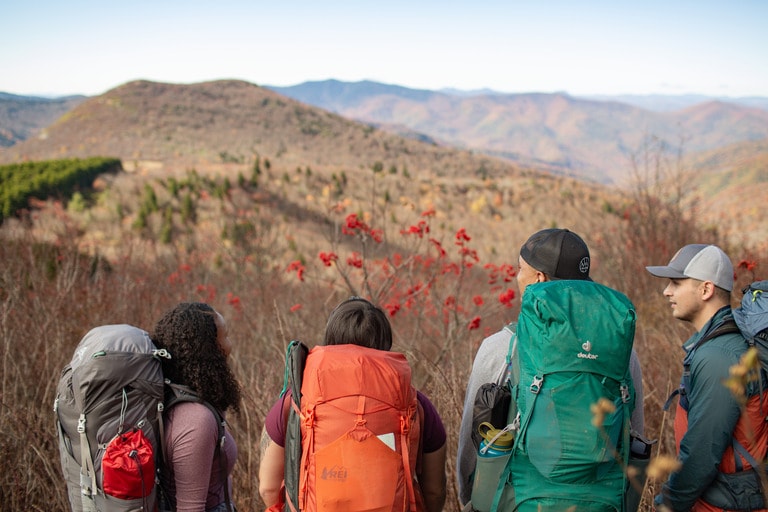 Four hikers look out onto the vista