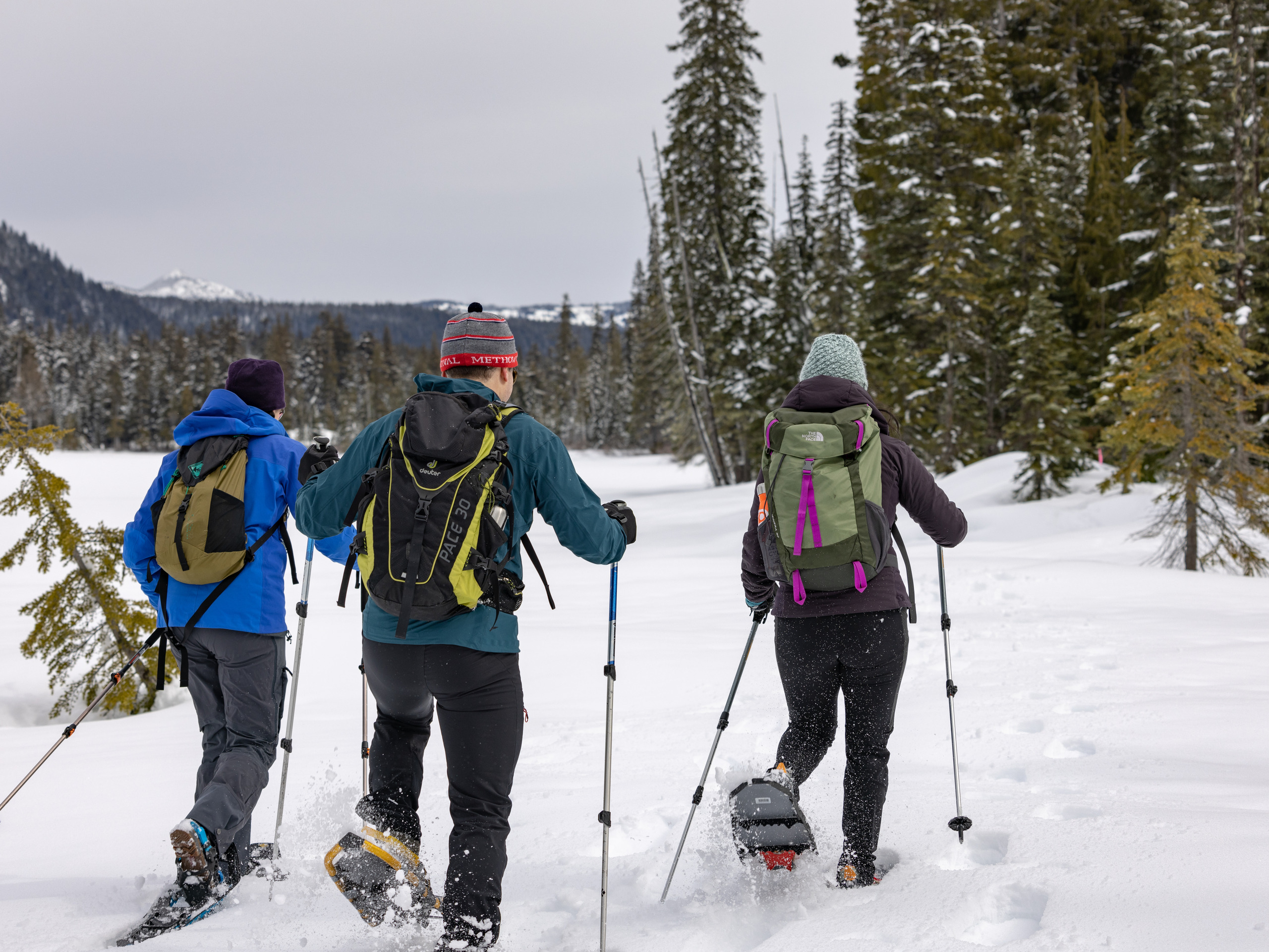 Three people wearing snow gear and snowshoes use trekking poles to walk into a snowy, wooded landscape