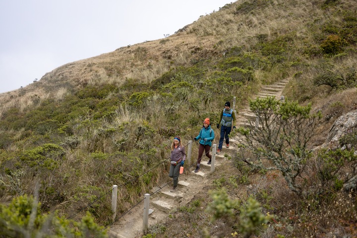 three hikers walking down a trail with steps
