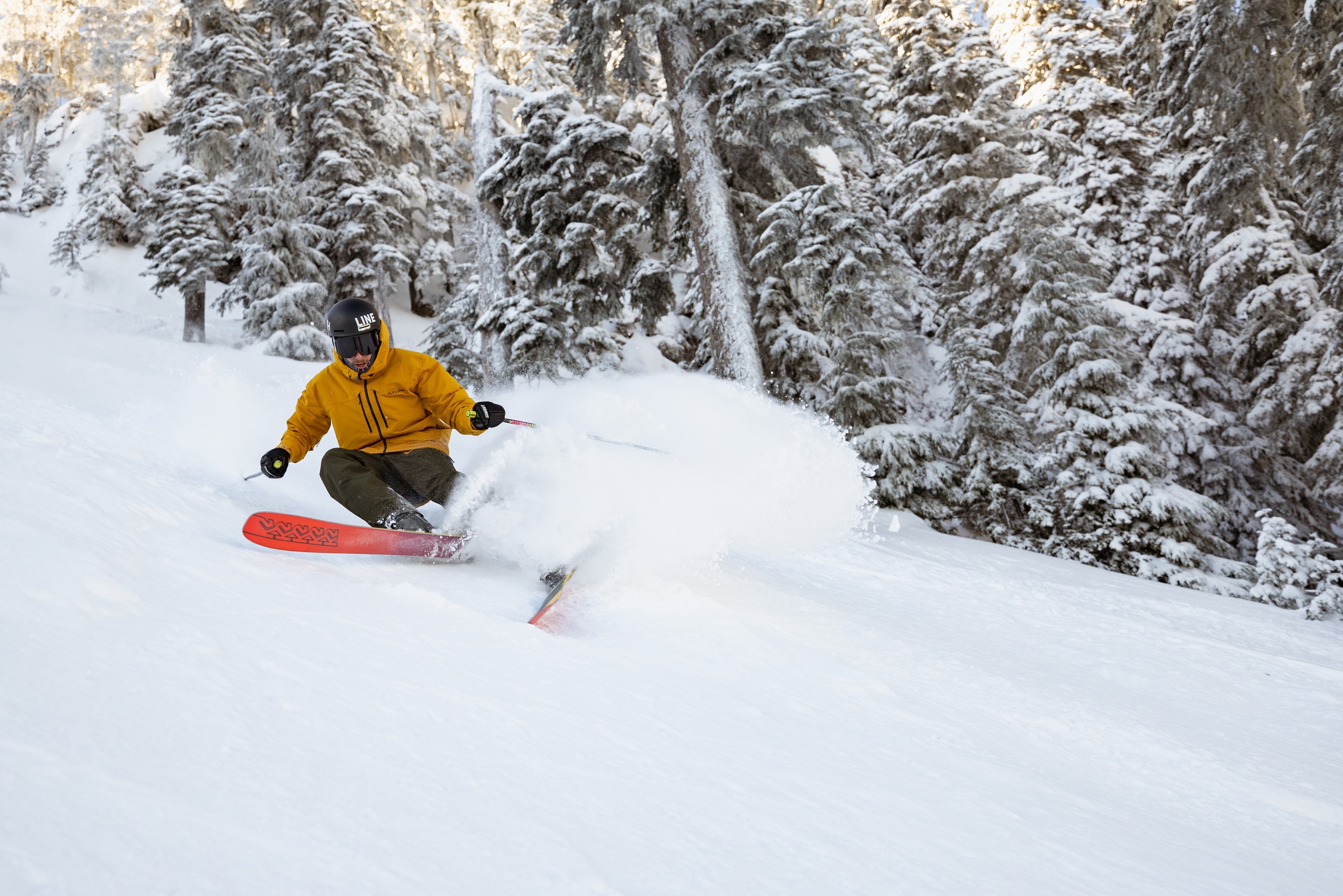 A person skis powder in front of trees