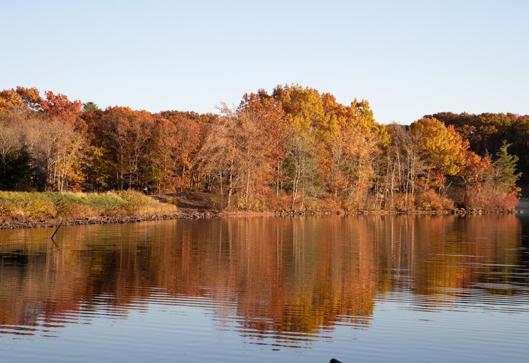 A photo of autumn leaves in yellow, orange and brown, seen reflecting in a lake.