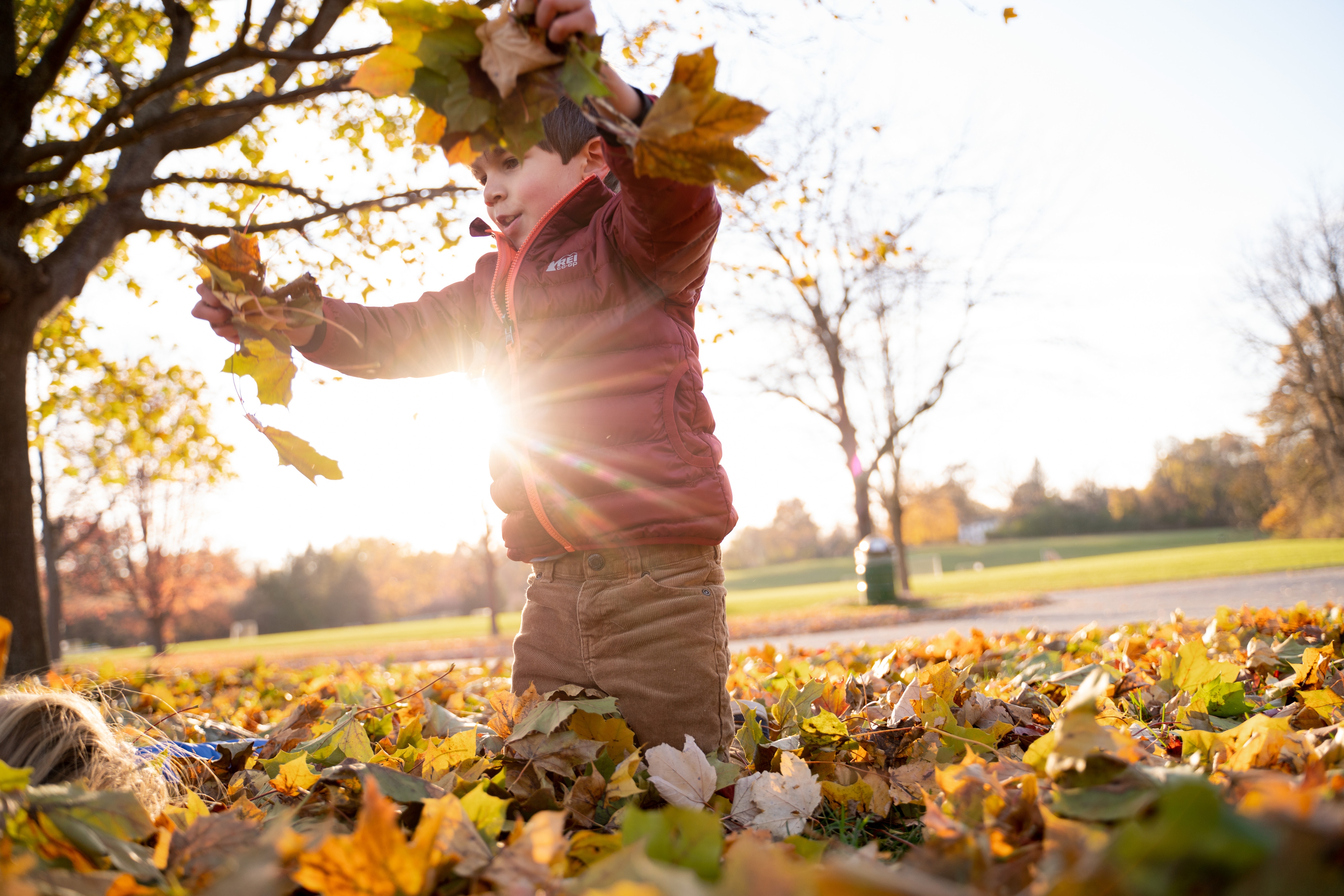 A kid in a red puffer coat playing in the leaves.
