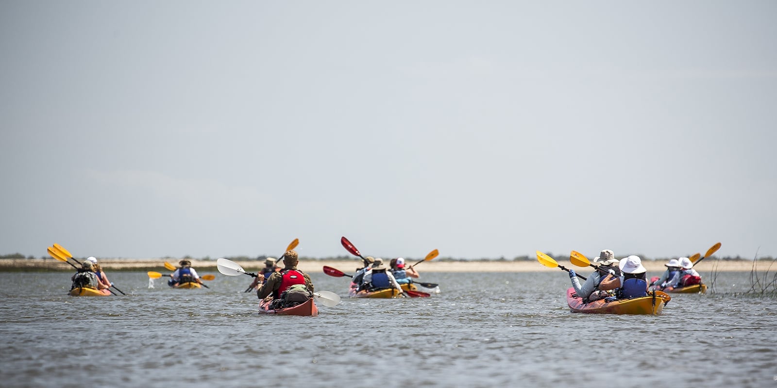 A large group of kayakers on the water