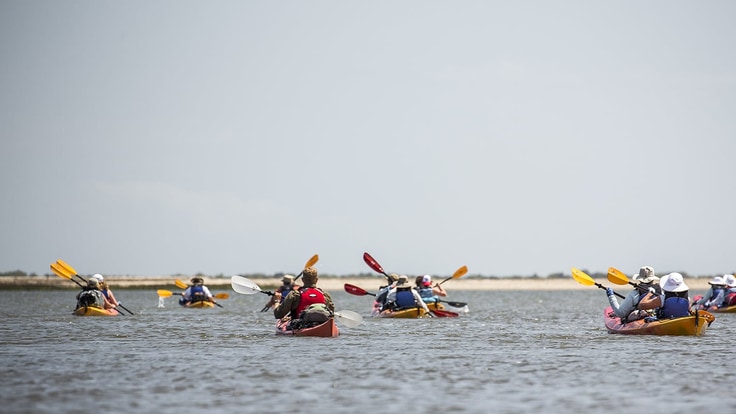 A large group of kayakers on the water