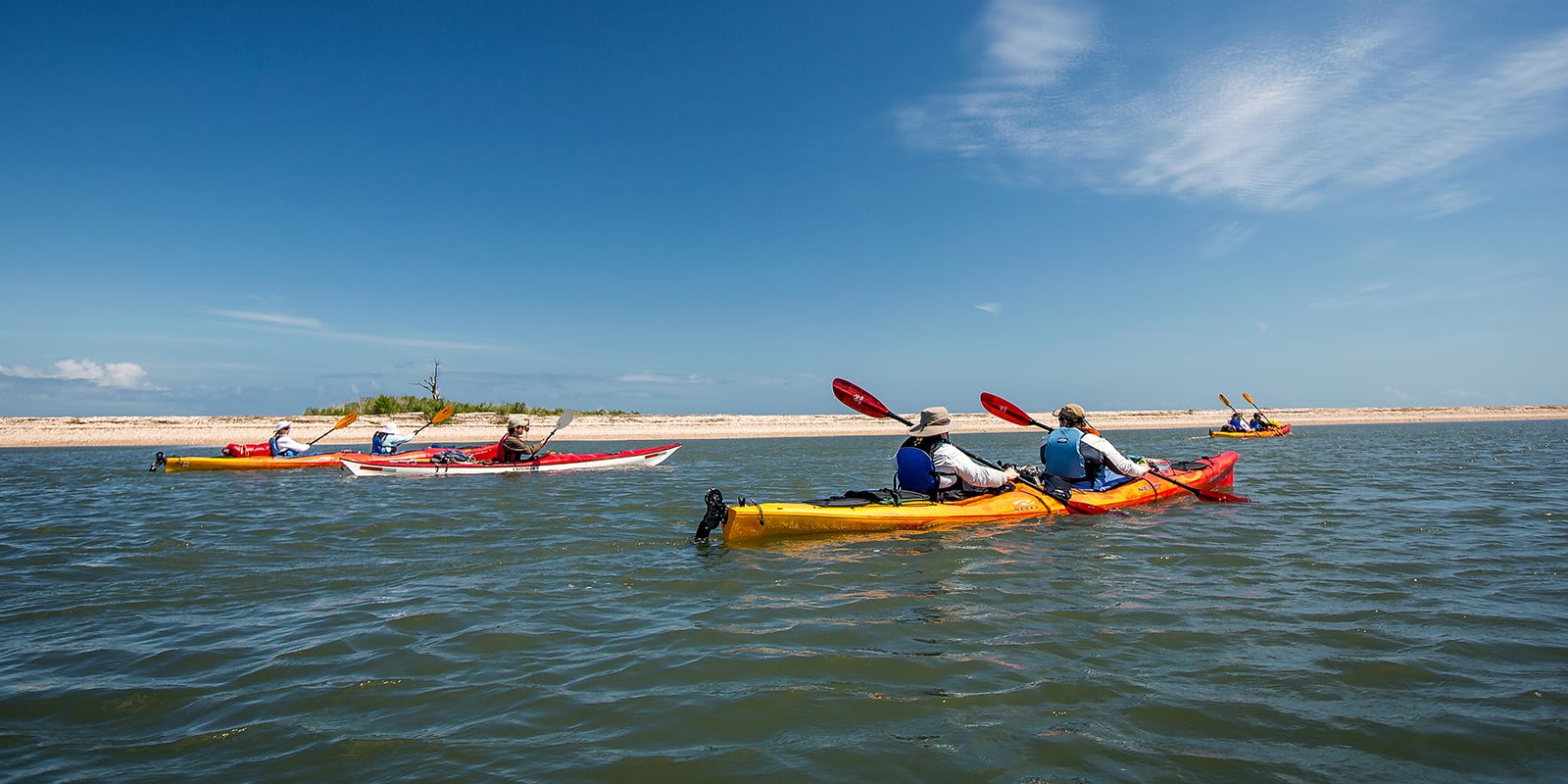 A group of four kayaks travels along a beach, three are two-person kayaks, one is solo.