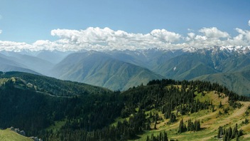 A sunny scene of Olympic National Park with a shallow shelf of clouds floating above snow-capped peaks, fading into green, rolling hills.