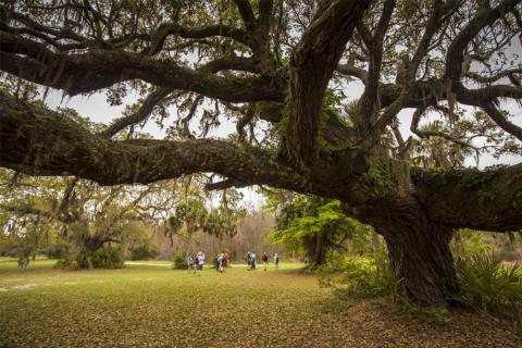 #OptOutside Southeast