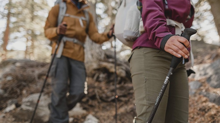 sizing walking sticks