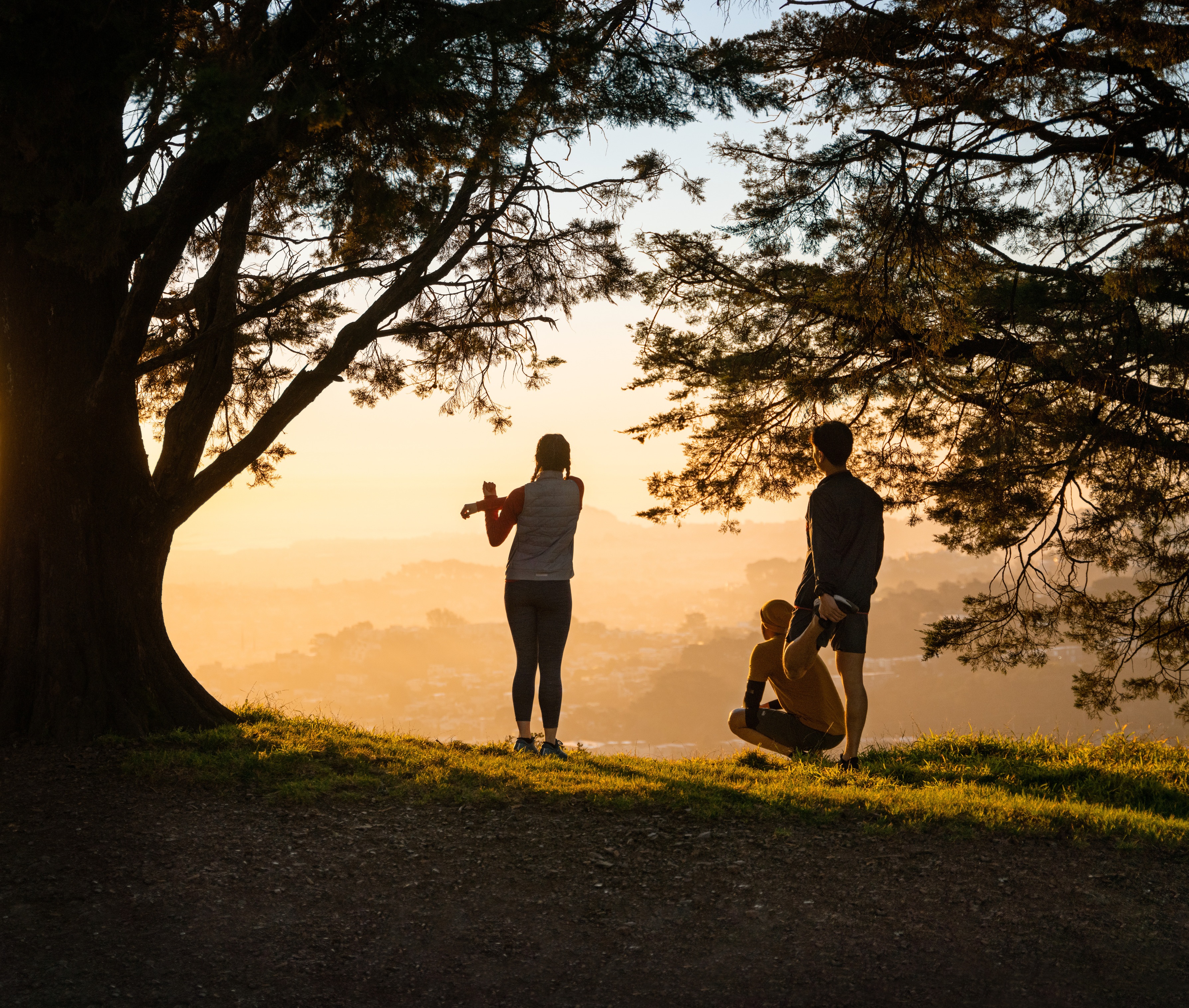 Filtered through an old-growth tree, the setting sun
            casts a warm glow over a far-reaching valley