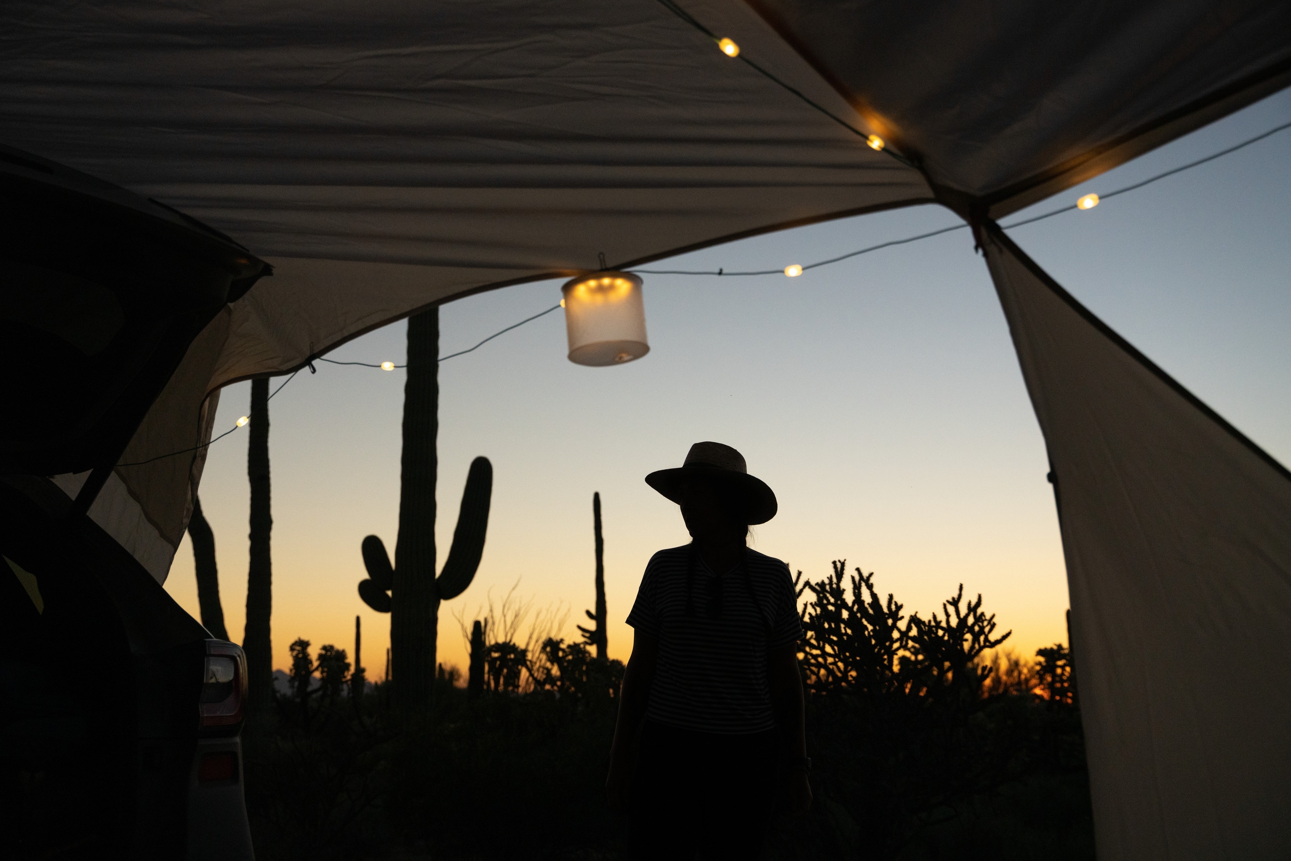 A person in shadow sitting at a desert campsite with string lights on the tent.