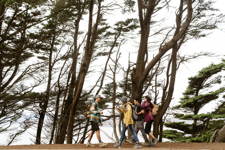 A group of people hiking together in a forest with tall evergreen trees