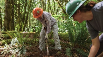 Two smiling people wearing hard hats and work gloves, surrounded by large ferns, use hand held equipment to perform trail maintenance in the Washington forest