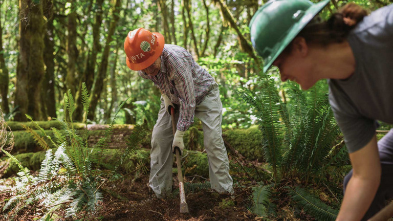 Two smiling people wearing hard hats and work gloves, surrounded by large ferns, use hand held equipment to perform trail maintenance in the Washington forest