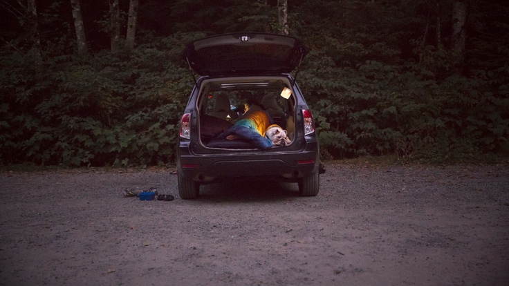 Camper sleeping in the back of an SUV
