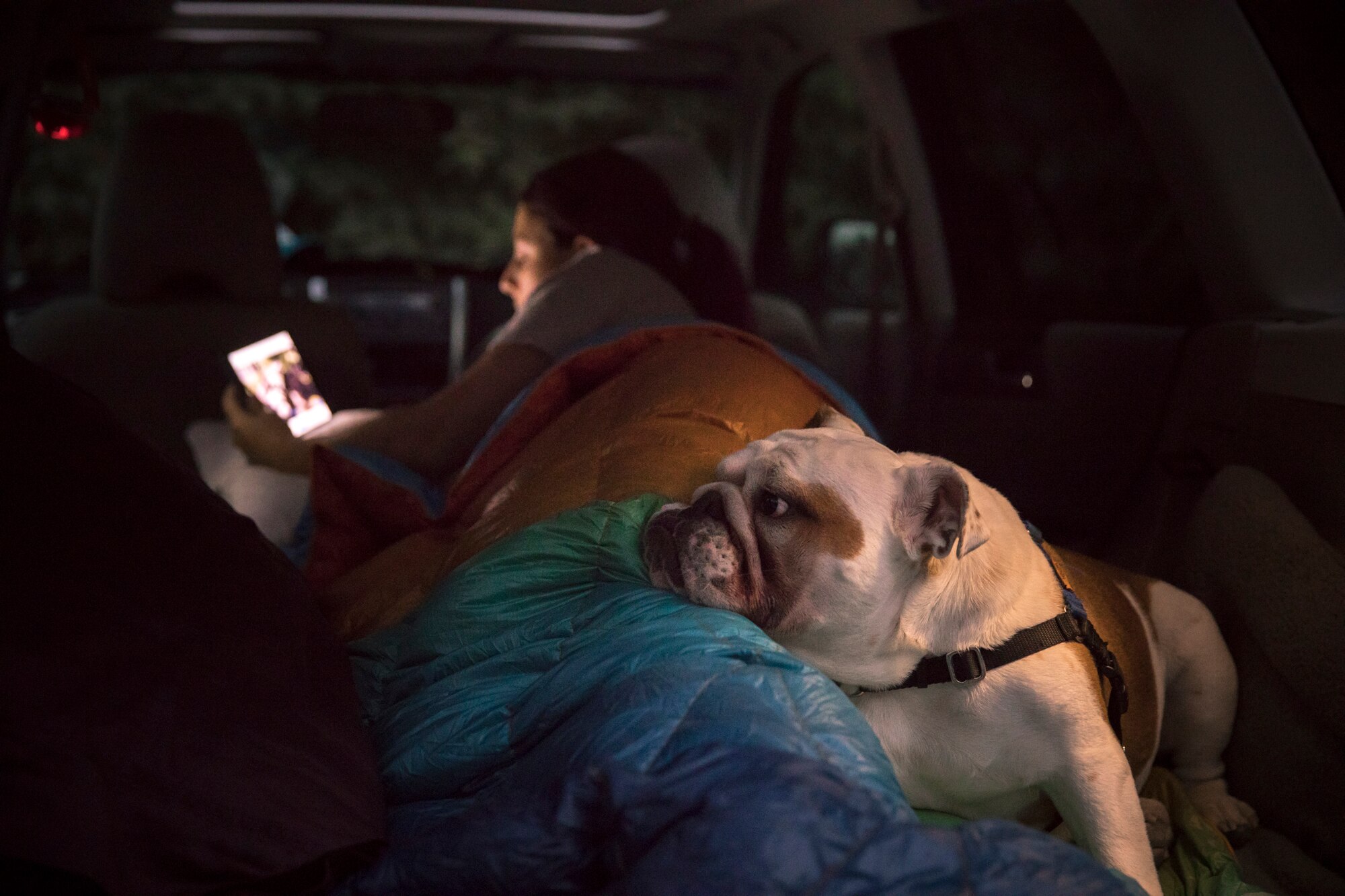 Car Camping: Tips for Sleeping in Your Car