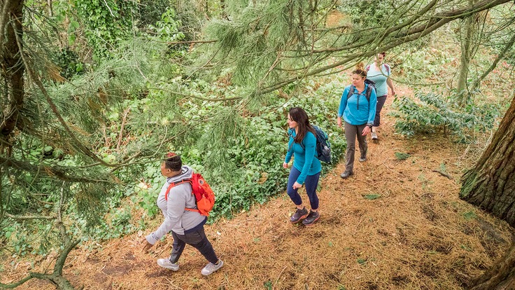 Hikers on a trail