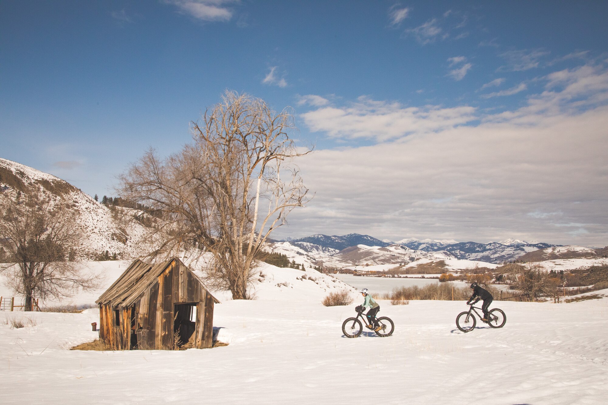 Fat bikers navigating a snowy field under a bright-blue sky