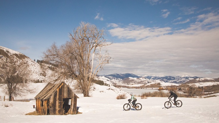 Fat bikers navigating a snowy field under a bright-blue sky