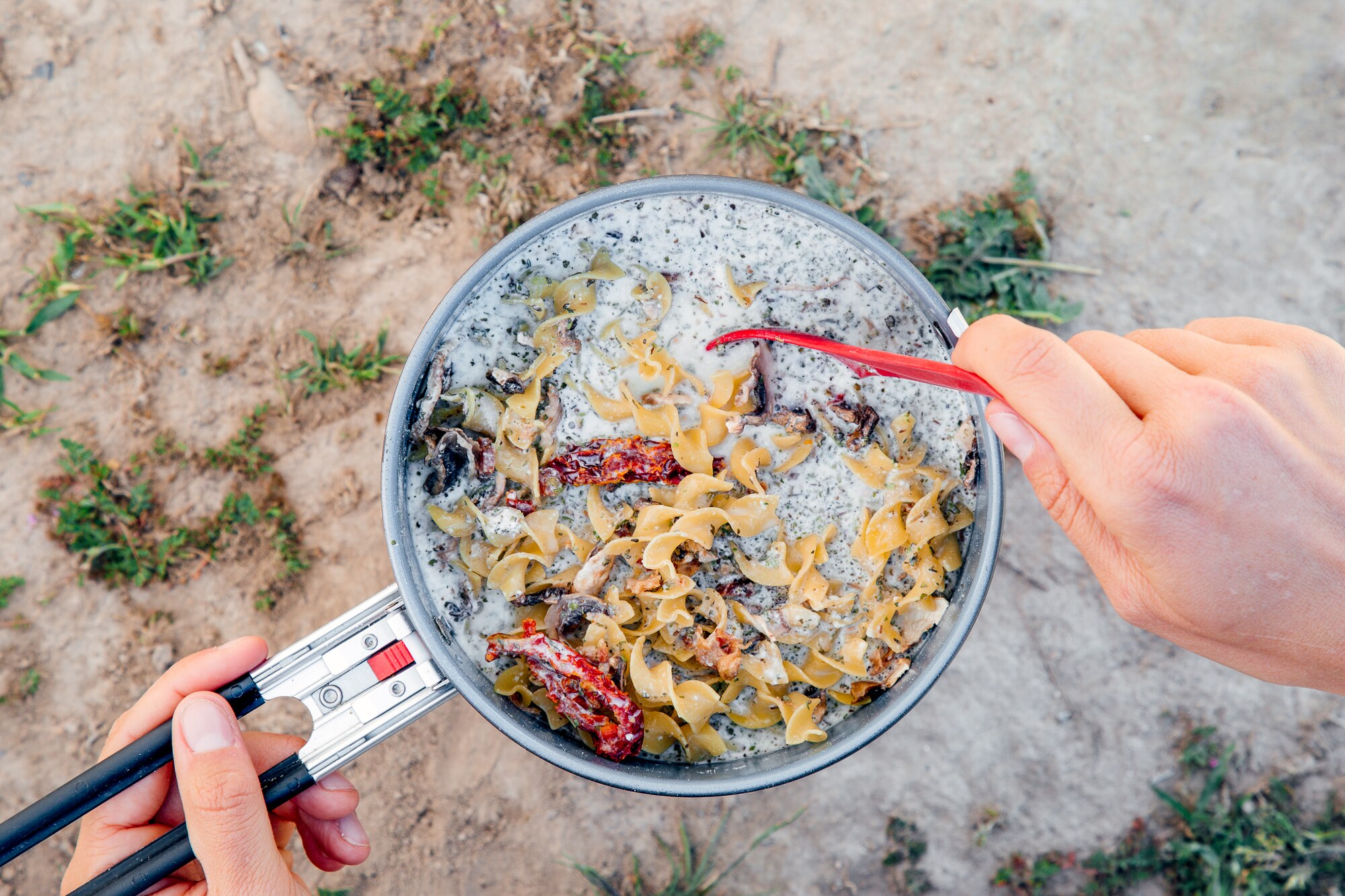 How to Dehydrate Mushrooms - Fresh Off The Grid