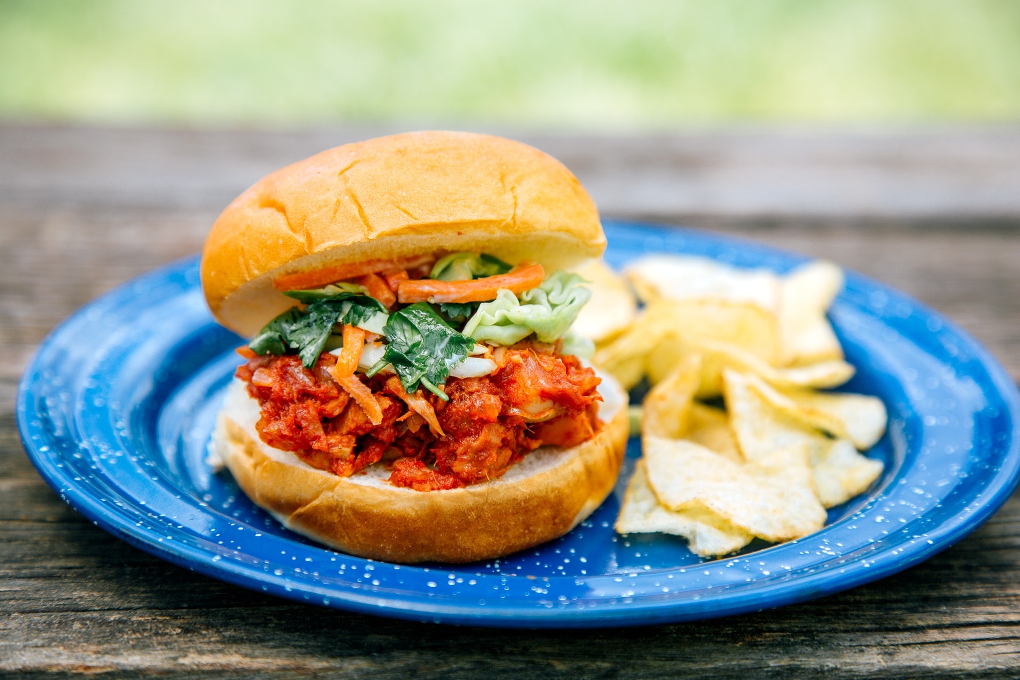 A jackfruit slider with potato chips sit on a speckled blue camp plate.