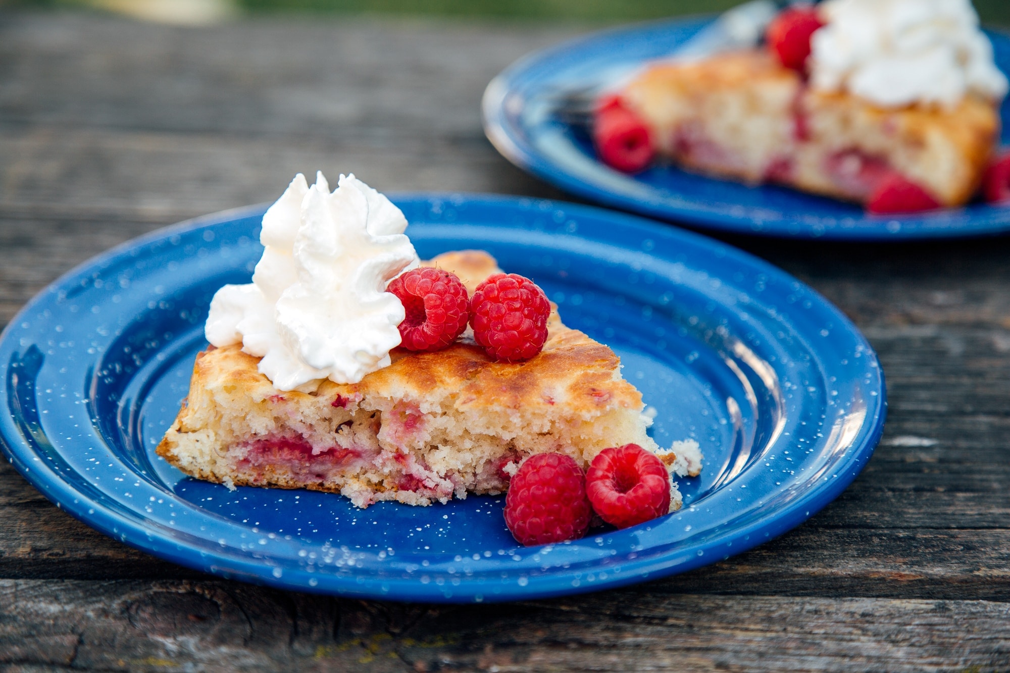 Raspberry dutch oven cake, plated and ready to serve