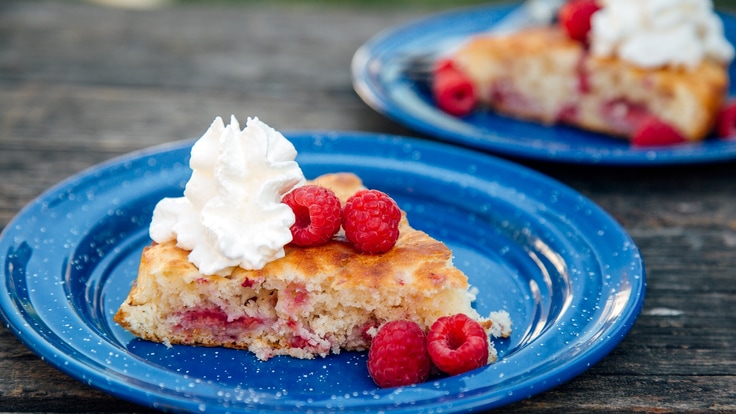 Raspberry dutch oven cake, plated and ready to serve