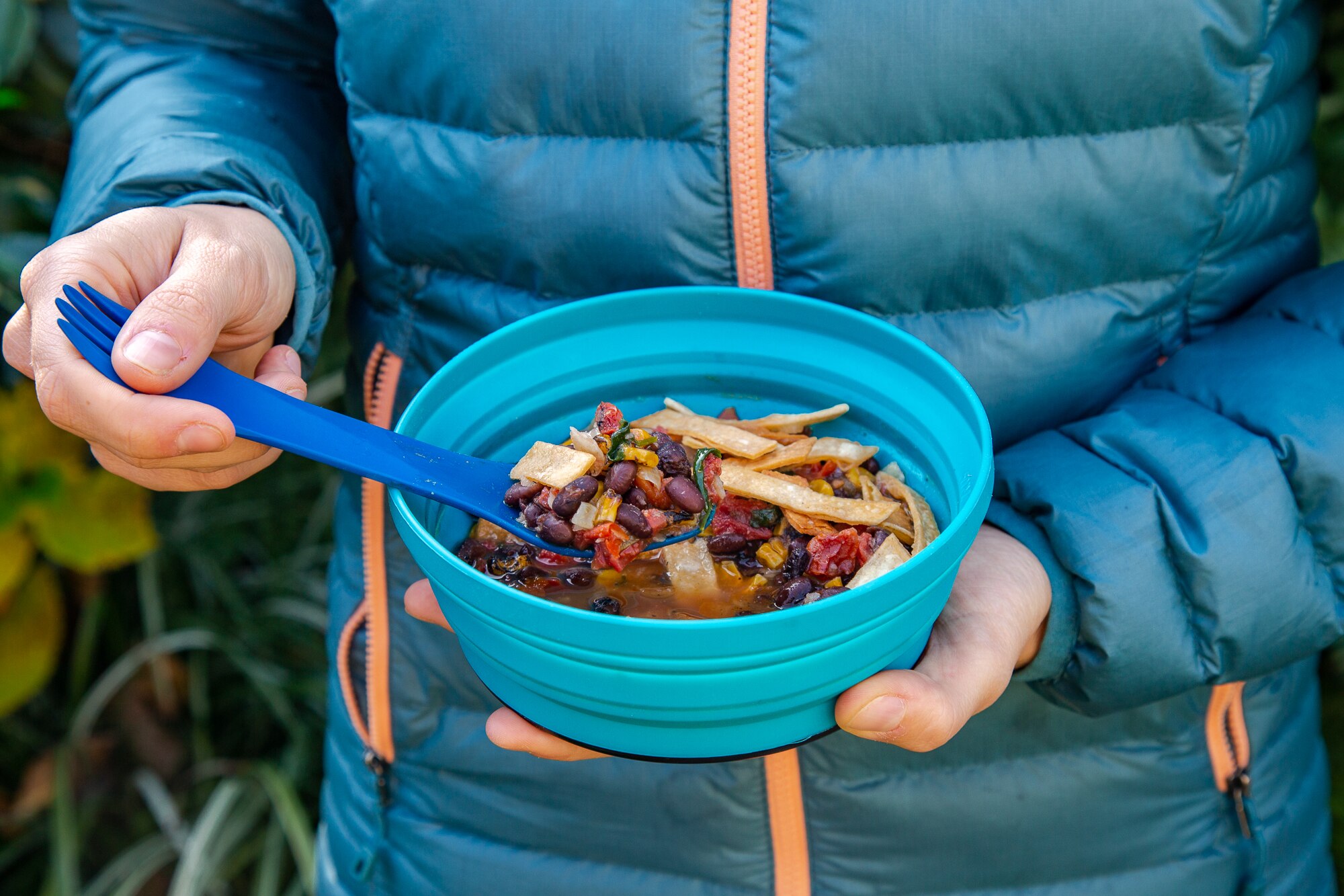 Vegan tortilla soup